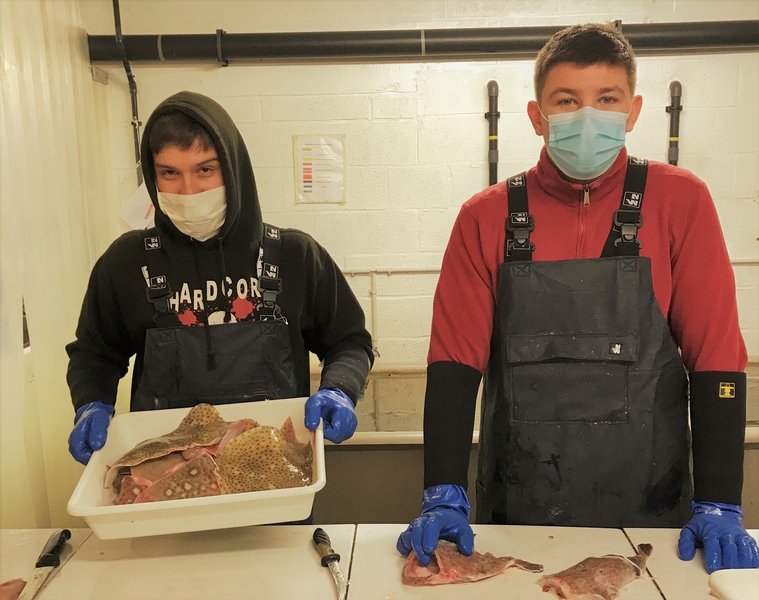 Les futurs marins apprennent à découper le poisson