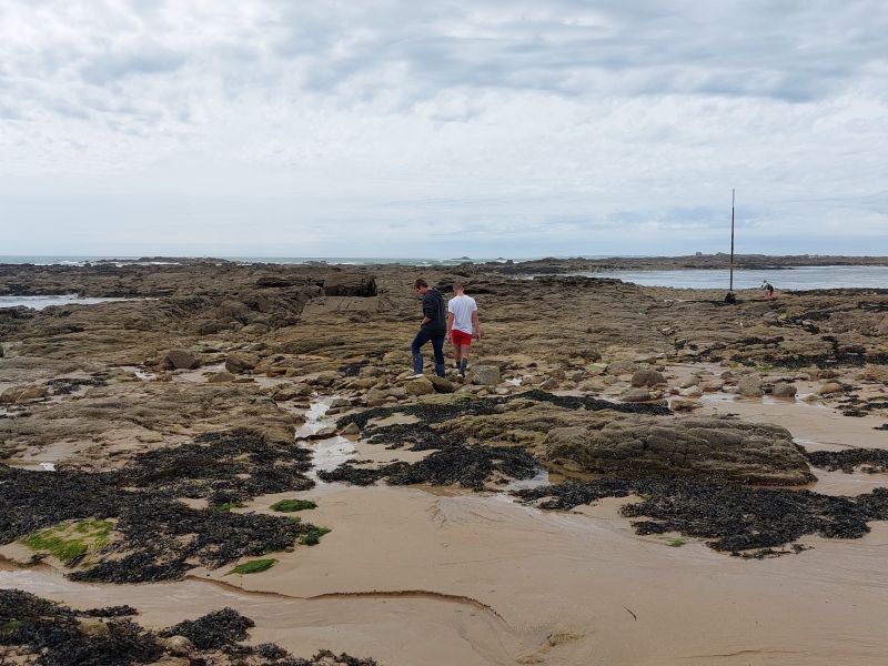 Une sortie à la Roche Sèche pour les élèves de Cultures Marines