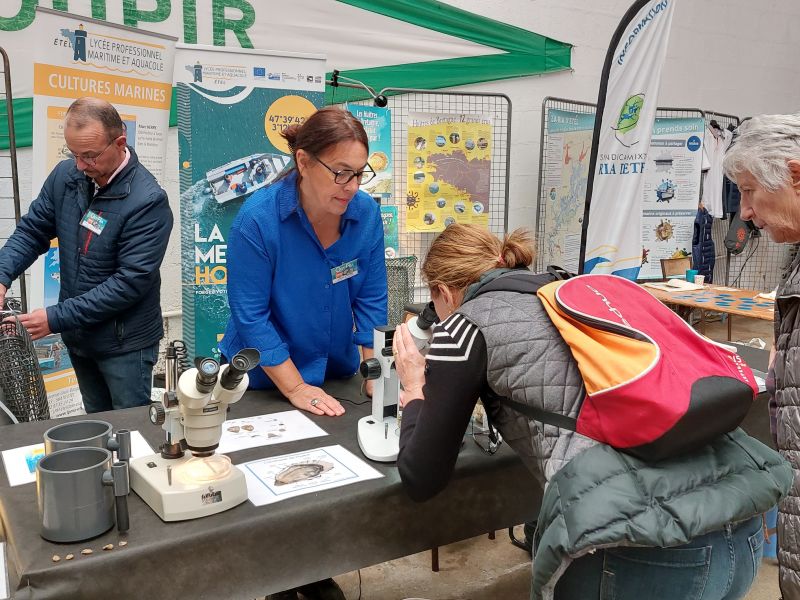 Ost'Ria : l'huître en vedette à Étel