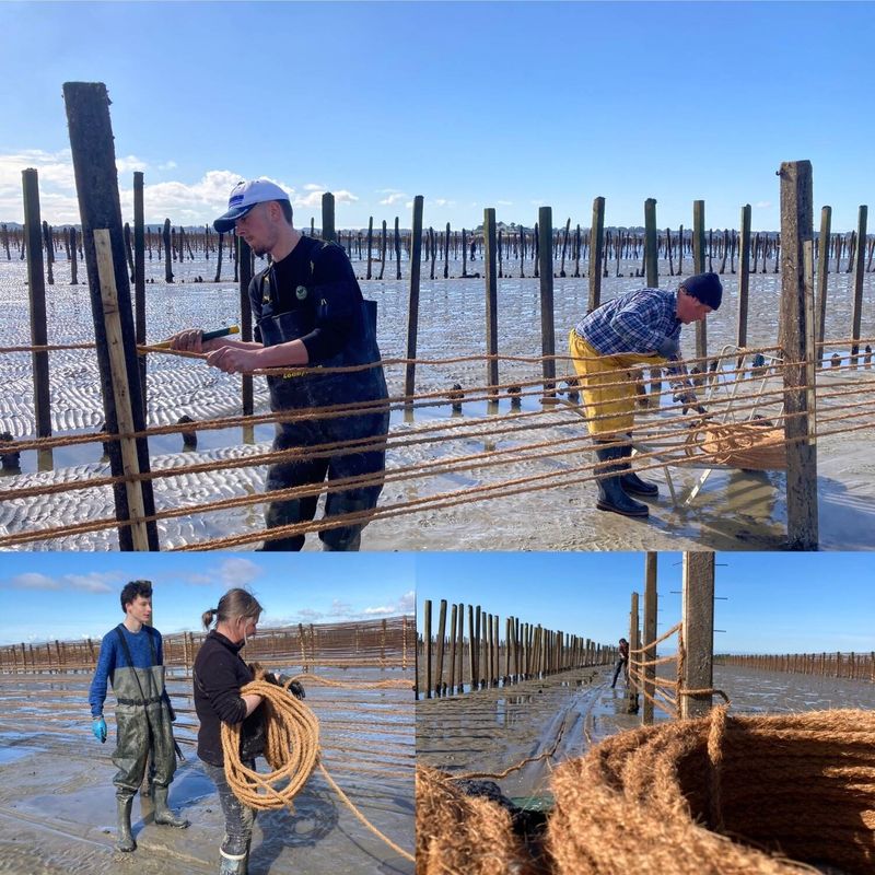 Les élèves de Seconde Cultures Marines en immersion à Pénestin