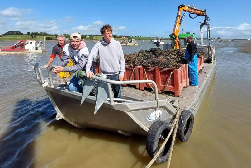 À Pénestin, les lycéens découvrent le métier de mytiliculteur