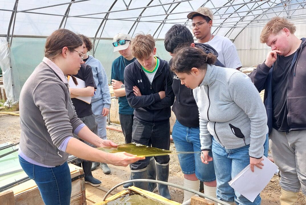 Cap au Nord : Une immersion iodée pour nos 1ère Bac Pro Cultures Marines !
