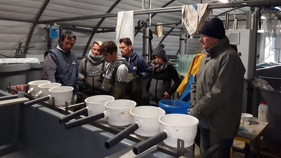 Une coopération entre le LPMA d'ETEL et le lycée professionnel agricole et piscicole de Château Gontier en Mayenne