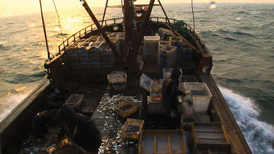 Projection privée pour les lycéens dans le cadre du partenariat avec le festival Pêcheur du monde