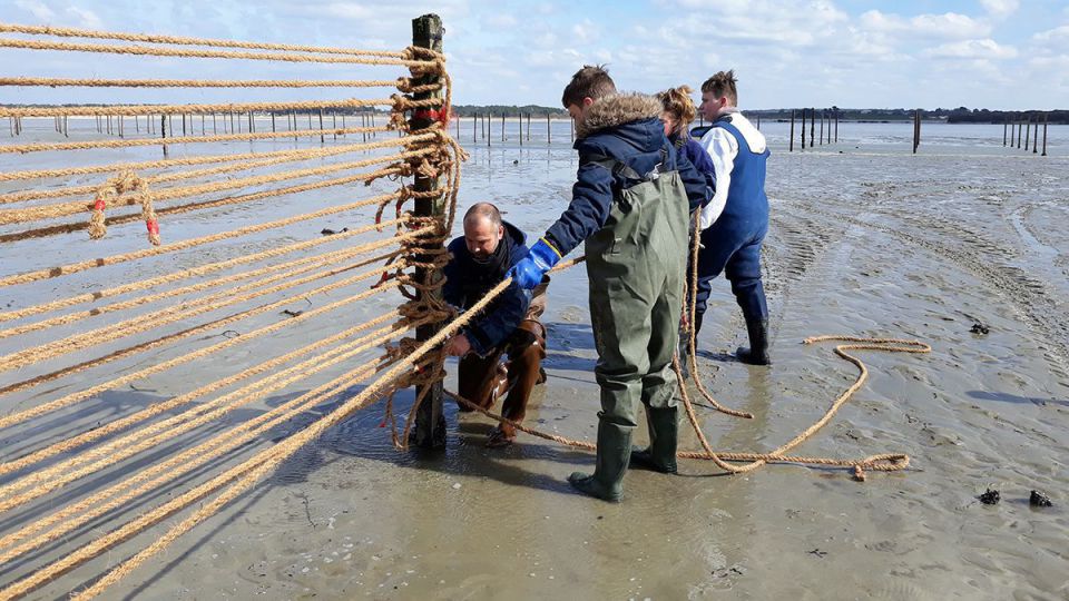 Travaux pratiques pour la classe de 2de Bac Pro cultures marines